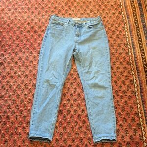 Everlane High Rise Skinny Ankle Jean